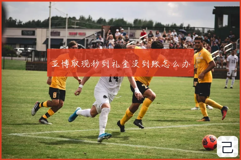 亚博取现秒到礼金没到账怎么办